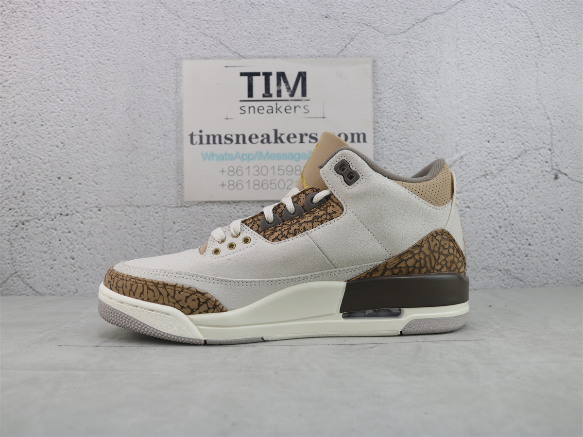 Air Jordan 3 Retro Palomino CT8532-102